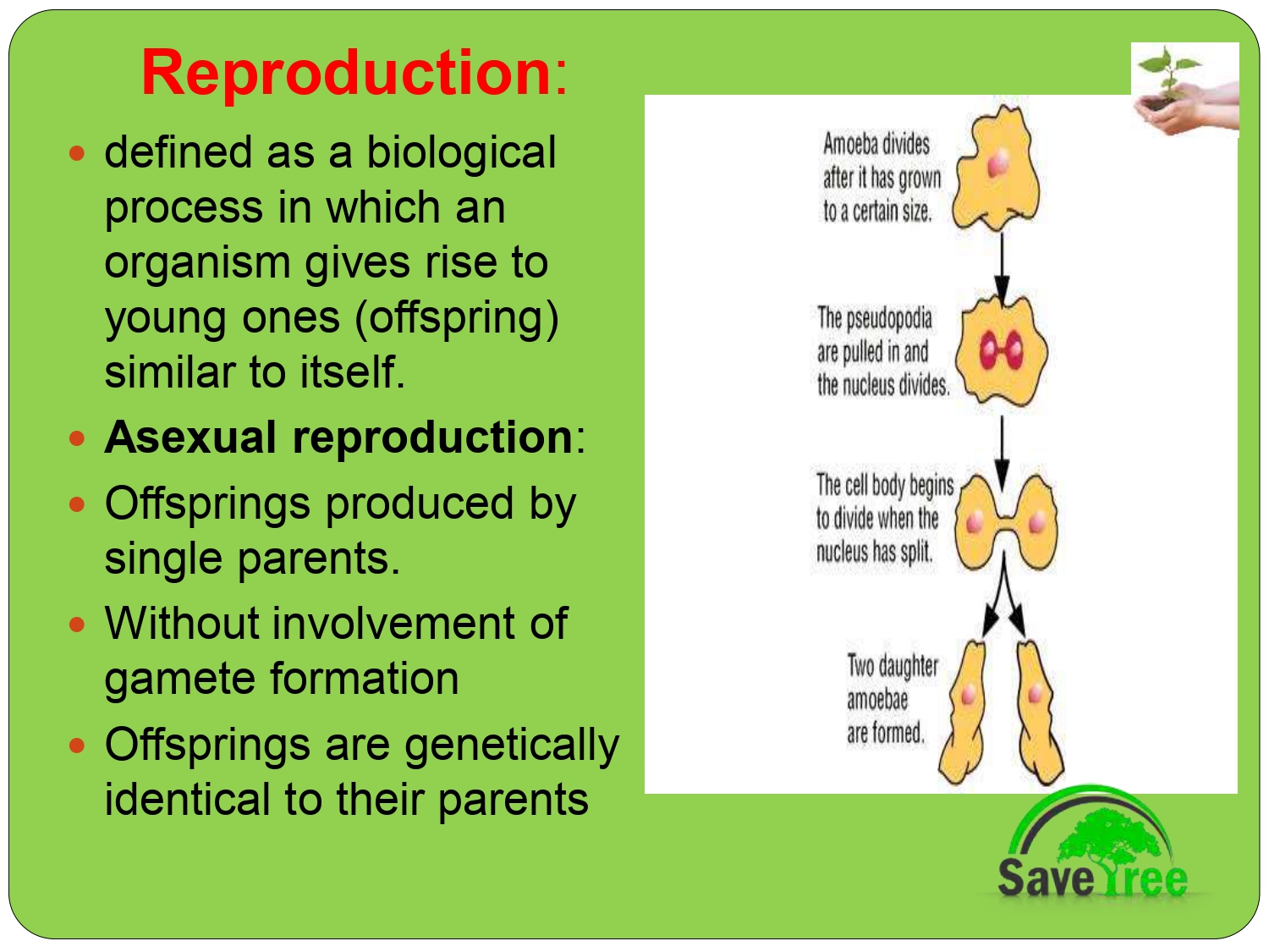 Class 12 Biology Chapter 1 Reproduction In Organism Presentation Cbse