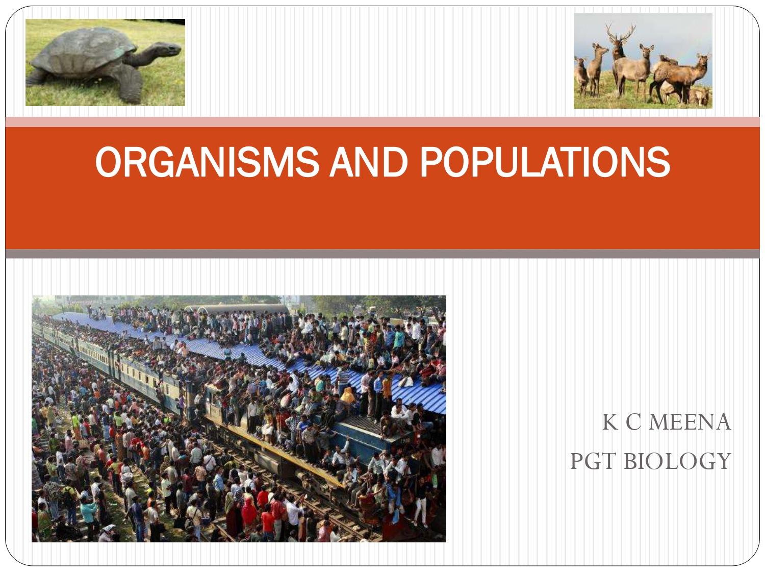 Class 12 Biology Chapter 13 Organism And Population Presentation - CBSE ...