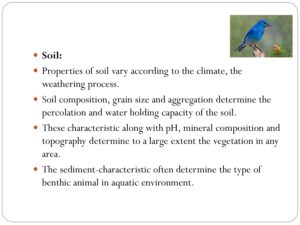 Class 12 Biology Chapter 13 Organism And Population Presentation - CBSE ...