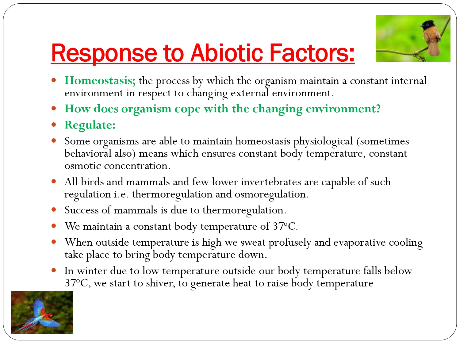 Class 12 Biology Chapter 13 Organism And Population Presentation - CBSE ...