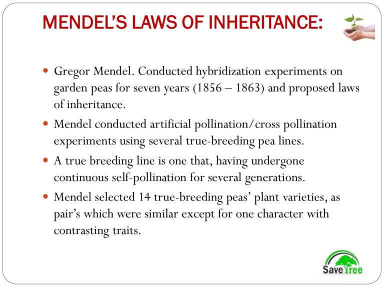 Class 12 Biology Chapter 5 Principles Of Inheritance And Variation ...