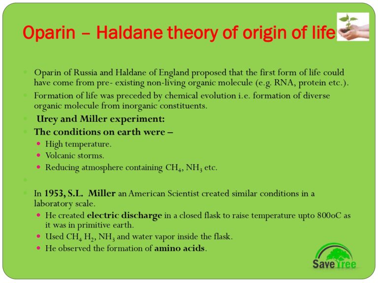 Class 12 Biology Chapter 7 Evolution Presentation - CBSE CONTENT