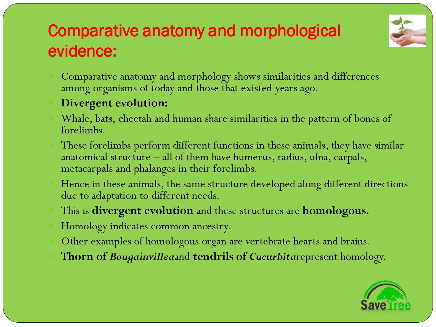 Class 12 Biology Chapter 7 Evolution Presentation - CBSE CONTENT