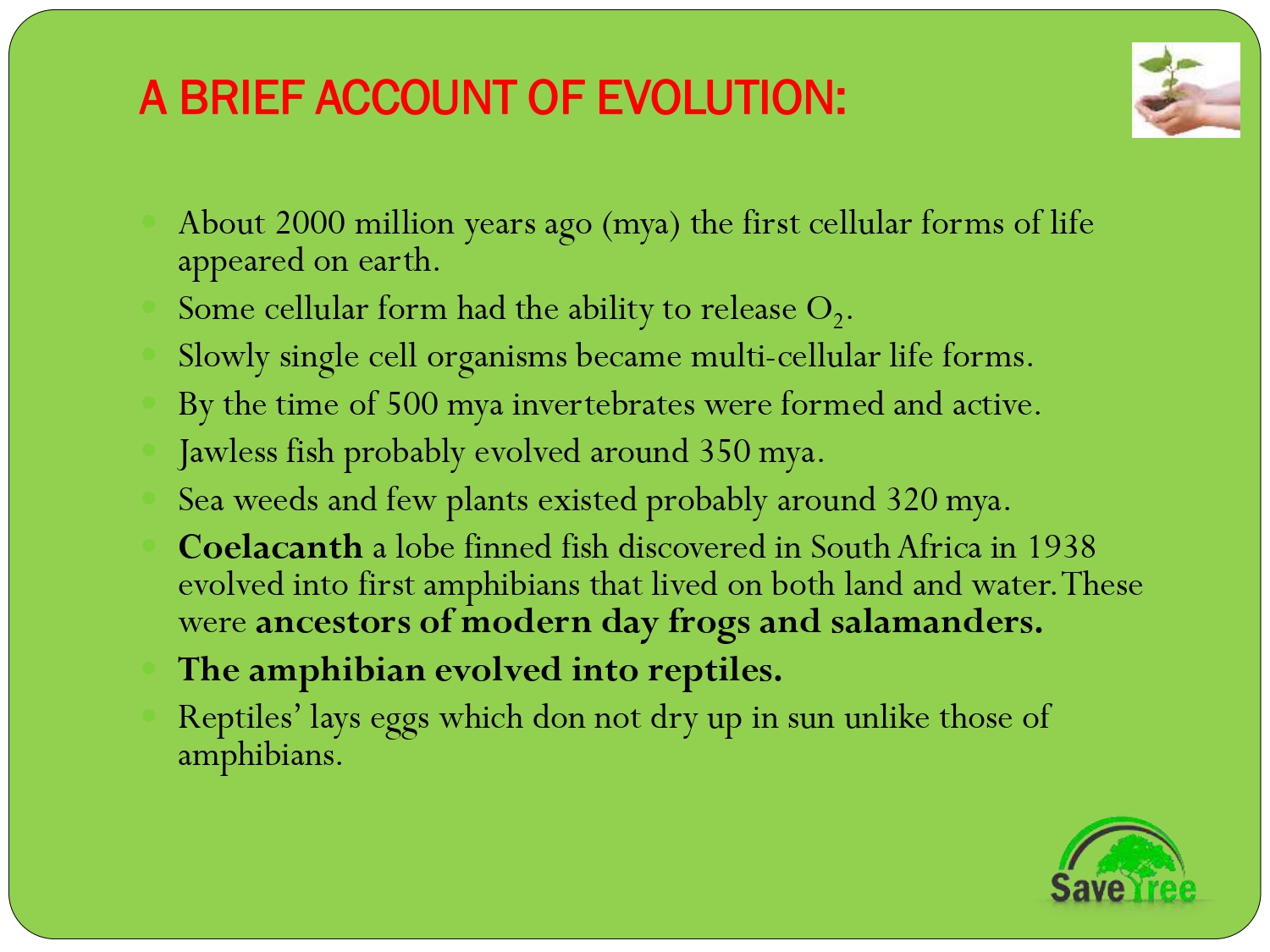 Class 12 Biology Chapter 7 Evolution Presentation - CBSE CONTENT