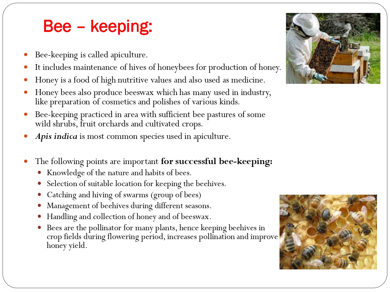 Class 12 Biology Chapter 9 Strategies for Enhancement in Food ...